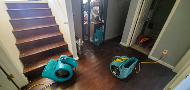 Best Emergency water damage restoration  in Hamton, IL