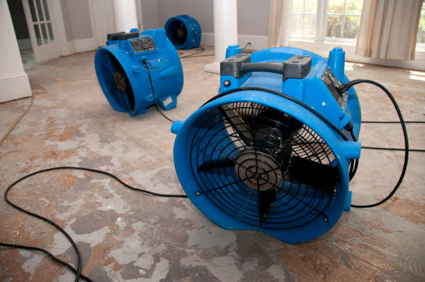 Best Water damage restoration near me  in Hamton, IL