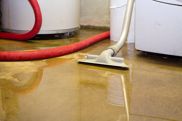 Best Water damage restoration process  in Hamton, IL