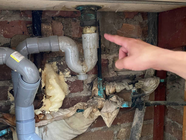 Water damage restoration mold remediation in Hamilton, IL