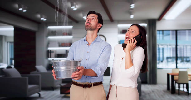 Best Emergency water damage restoration  in Hamton, IL